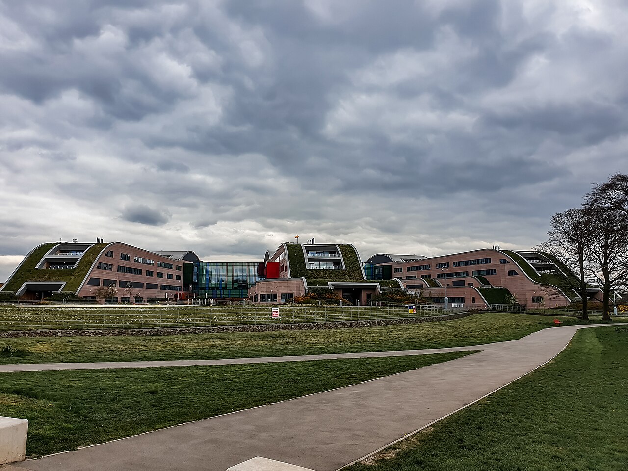 Alder Hey