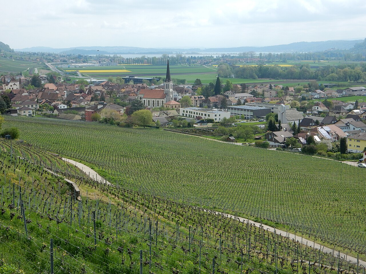 Cressier NE