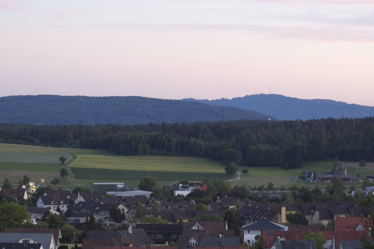 Hardwald